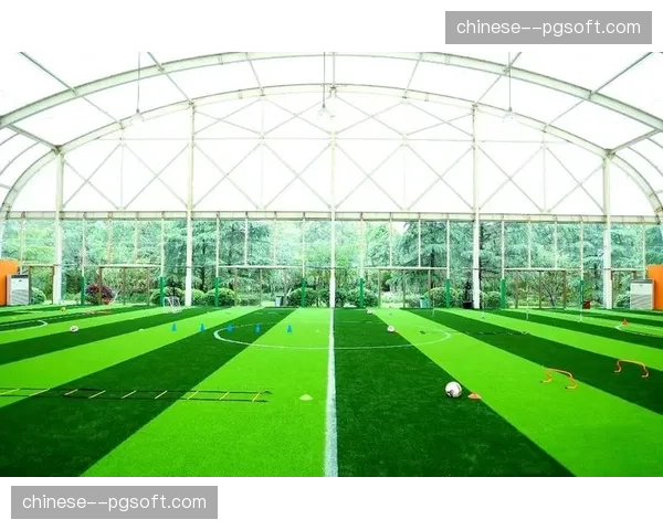 西甲上海足球学院举办青少年选拔，助力球员梦想启航